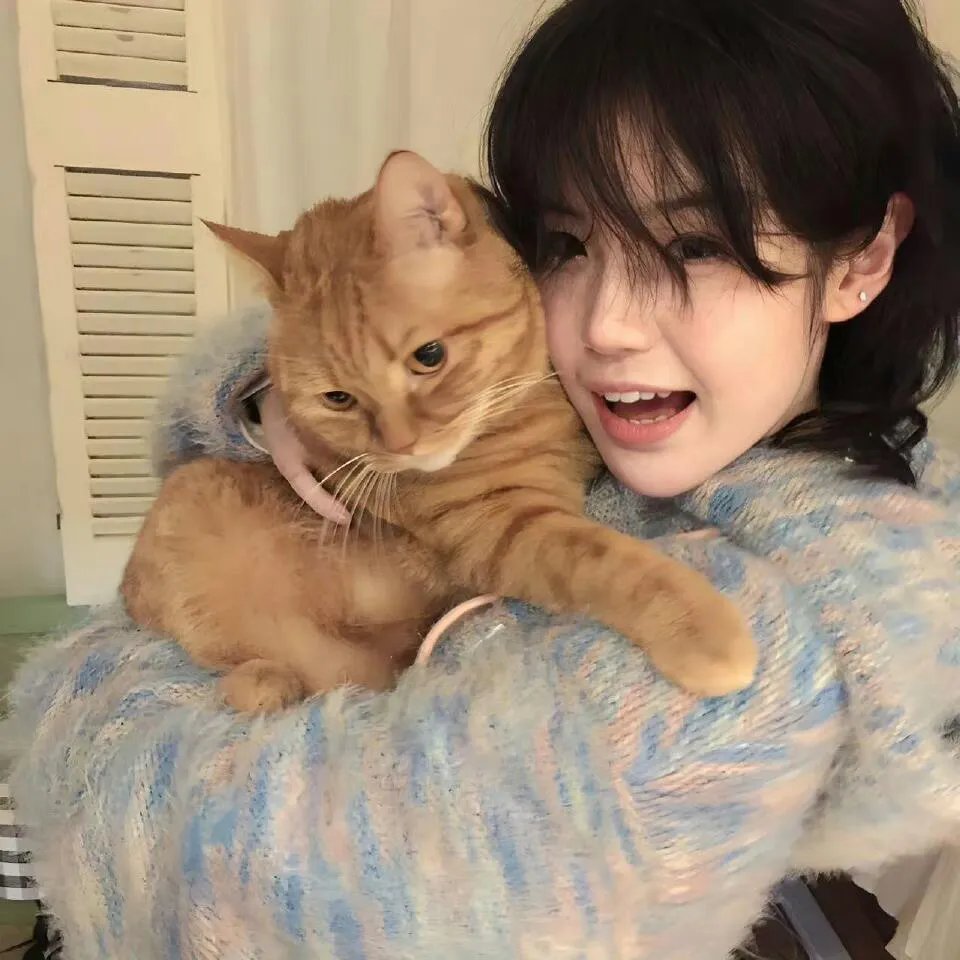 疾速王后